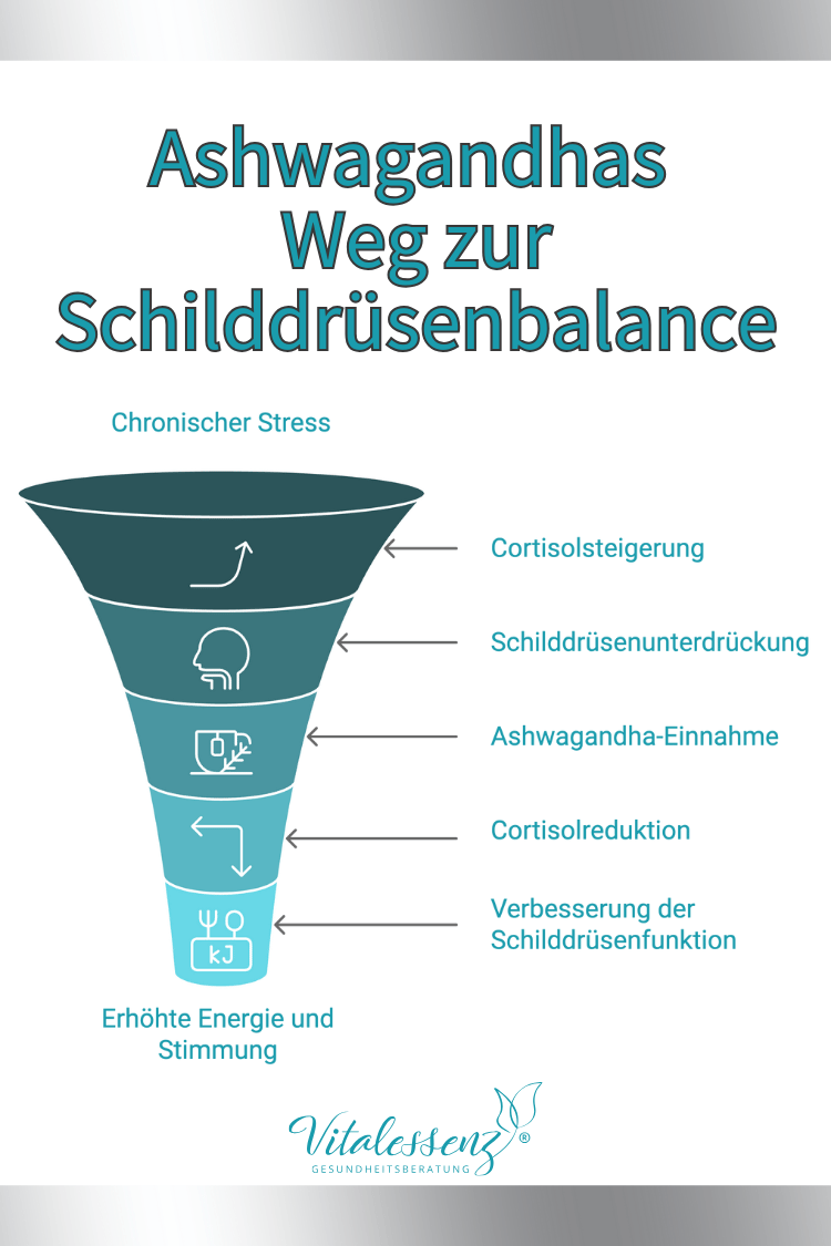 Ashwagandha Schilddrüsenhormone regulieren