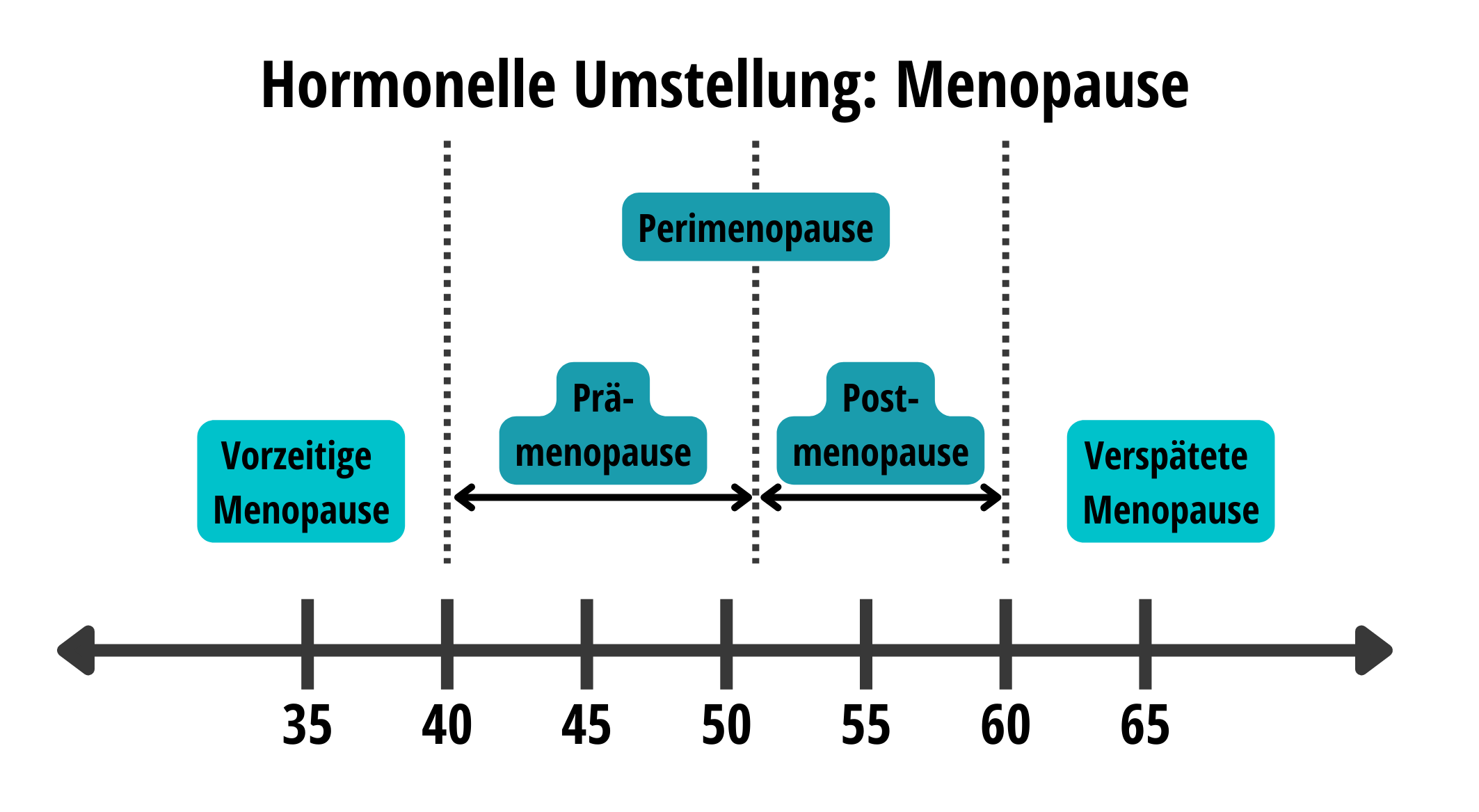 Zeitraum der hormonellen Umstellung in der Menopause mit einzelnen Stationen