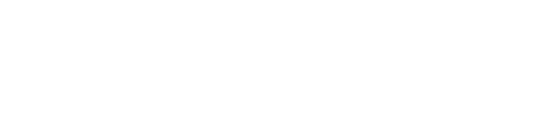 Lufthansa