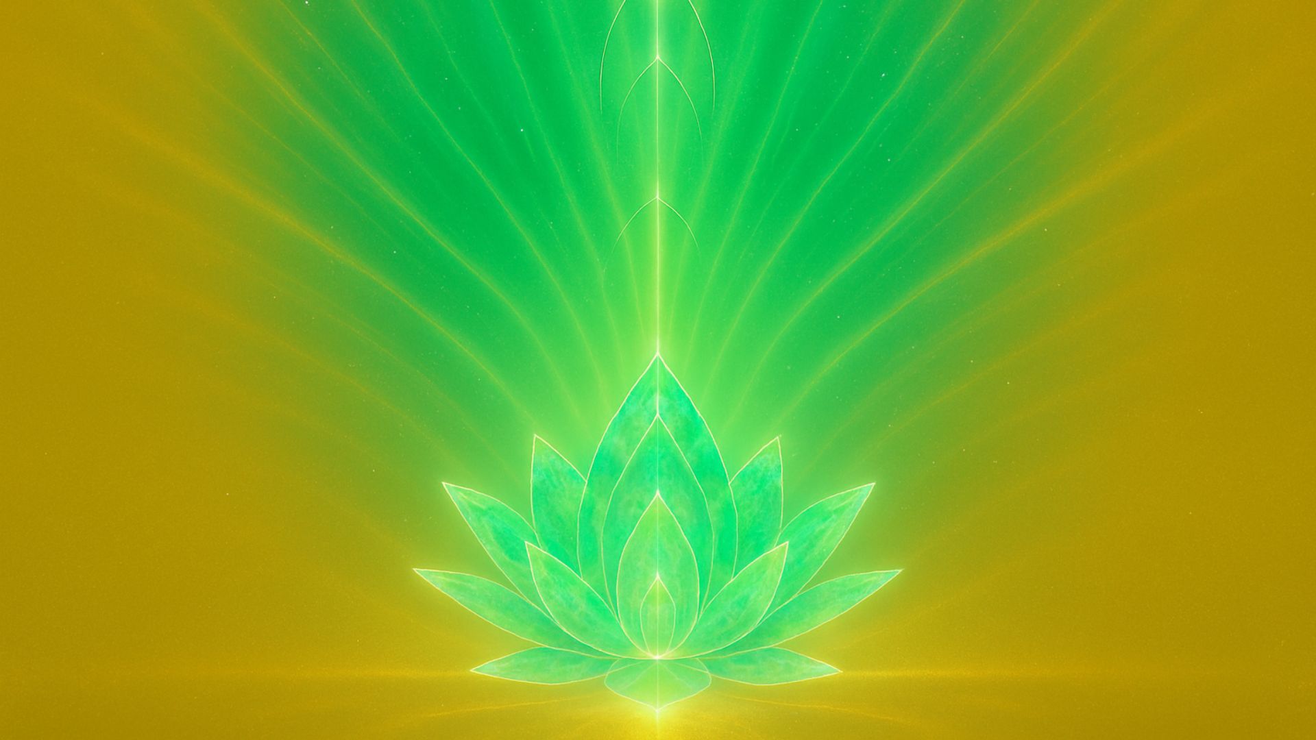 V•H Lotusblume hellgrün gold.jpg
