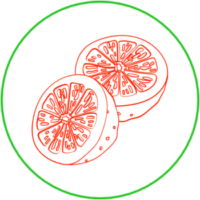 erfolgreich schnell abnehmen icon - Grapefruit