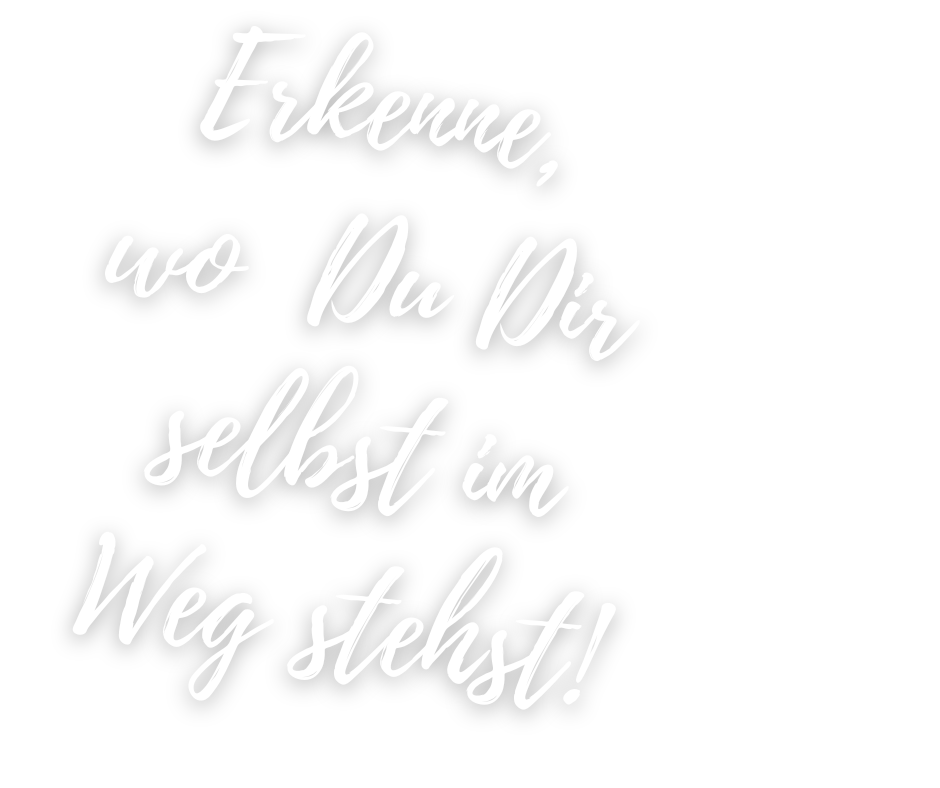 Türkis Blau Orange Blätter Rund Inspiration Sommerferien Facebook Post (12).png