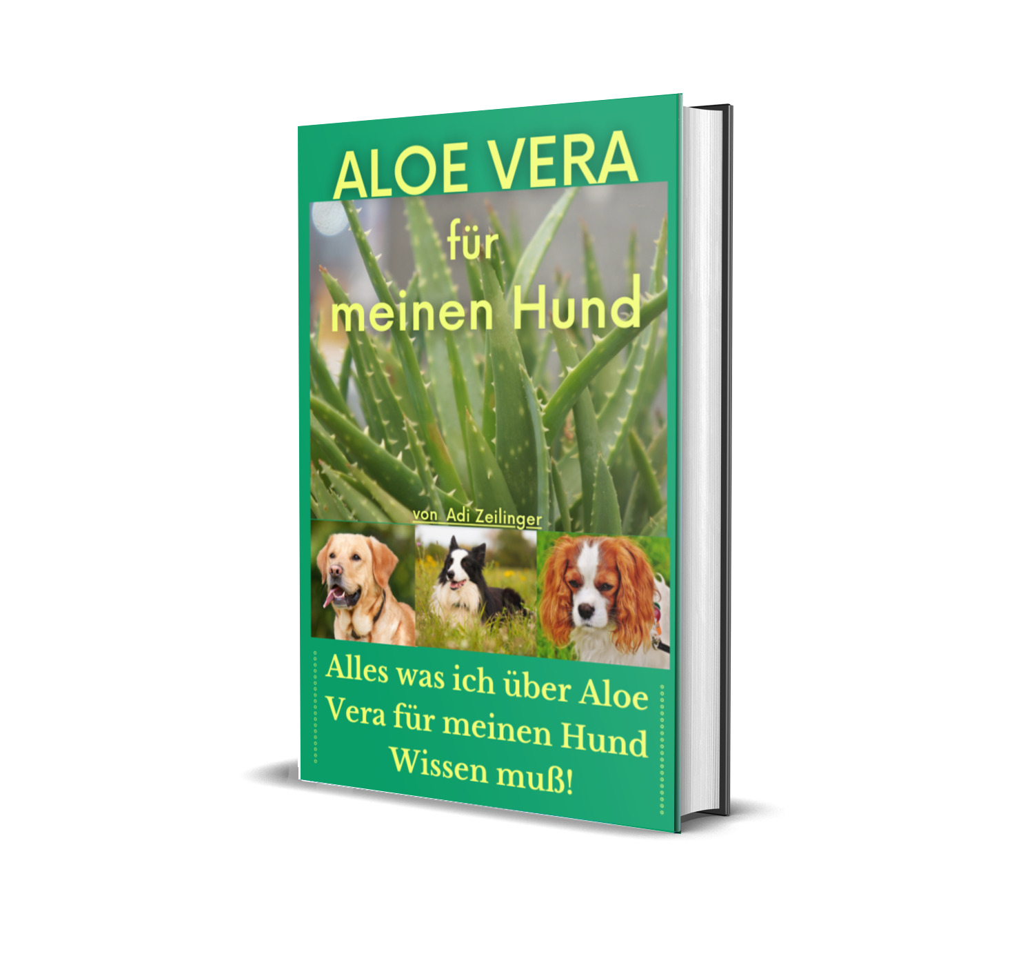 AloeVera für meinen Hund