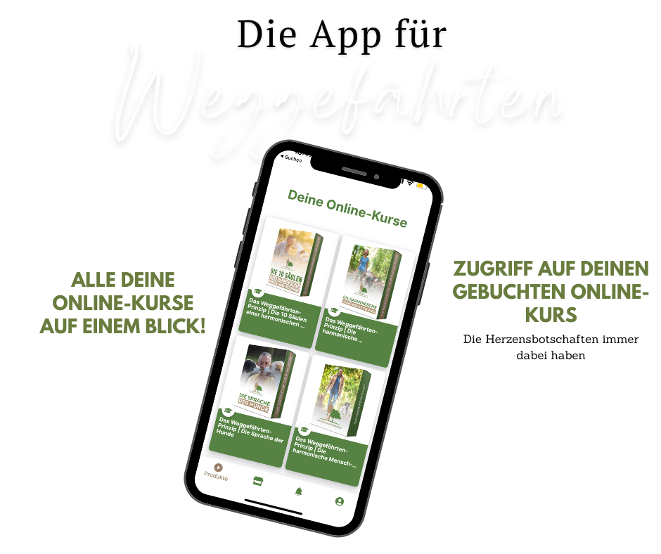 apppZugriff auf deinen gebuchten online-Kurs.png