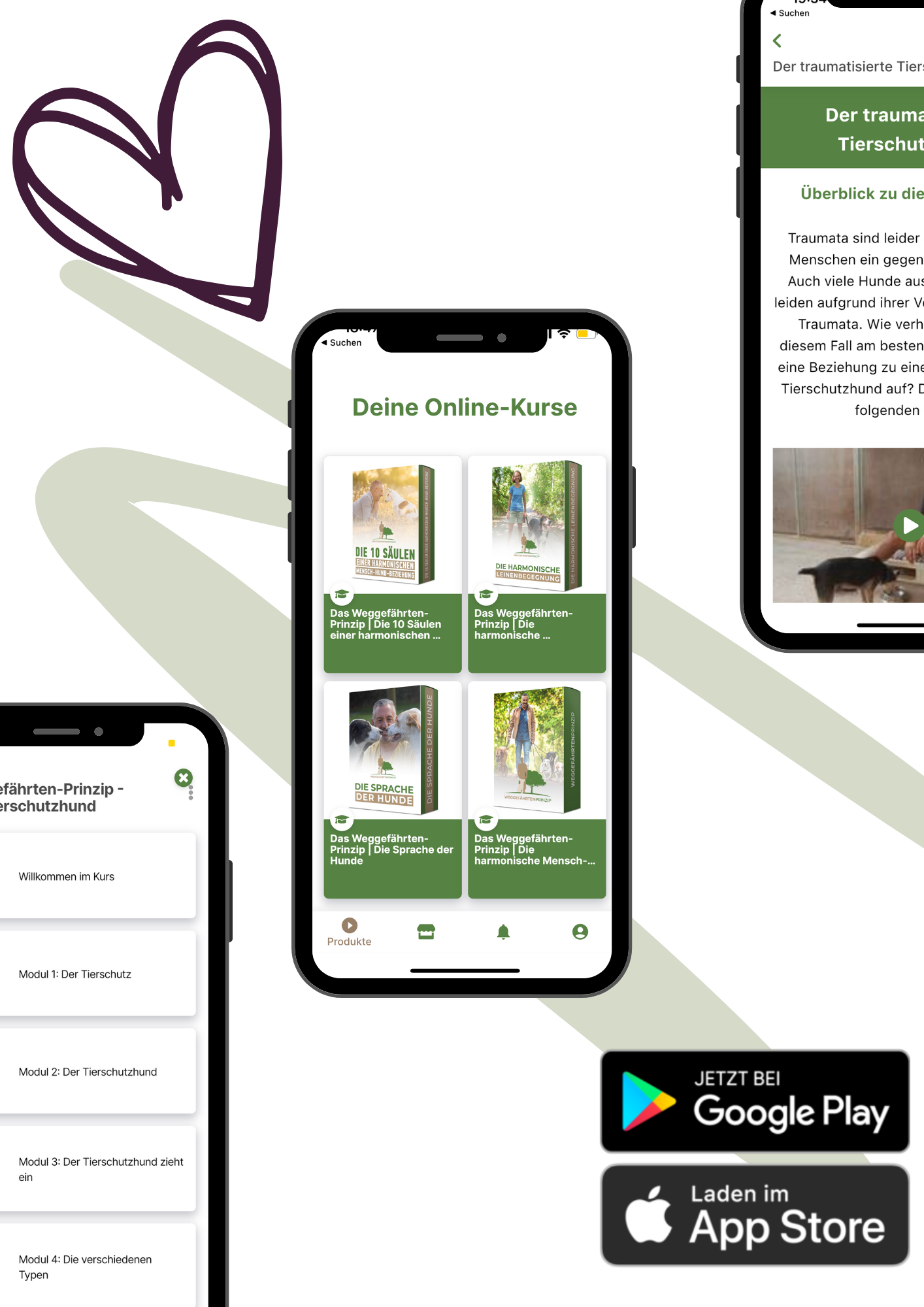 12Design ohne Titel.png