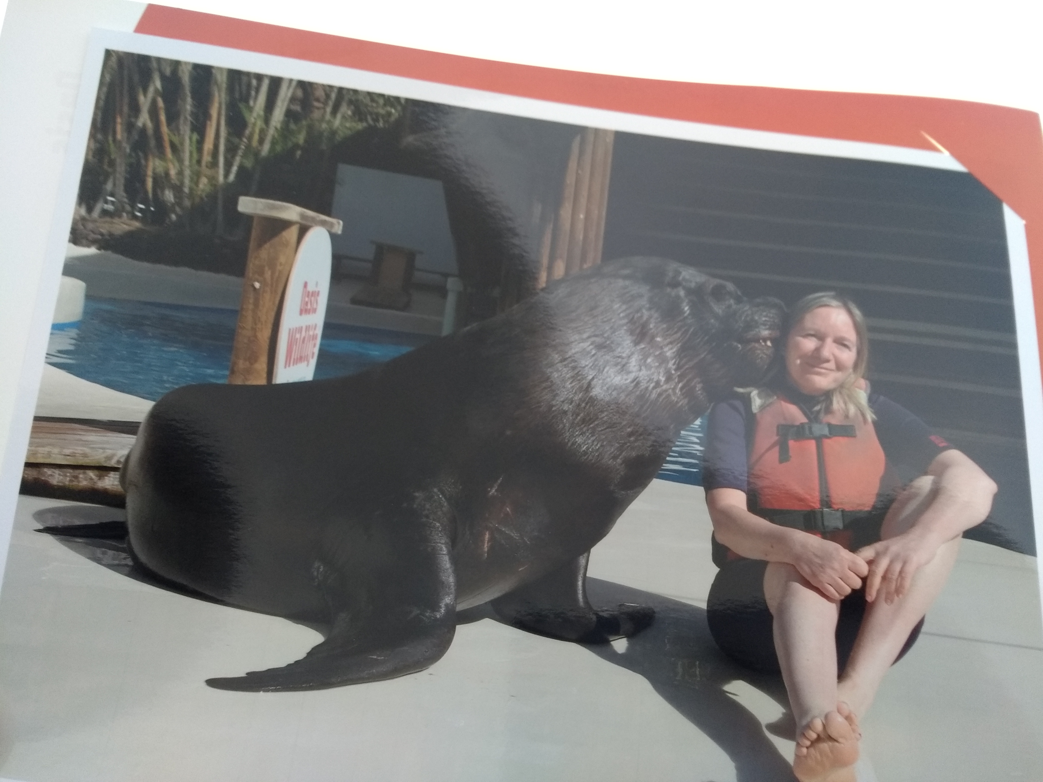 Annette mit Seelöwe.jpg