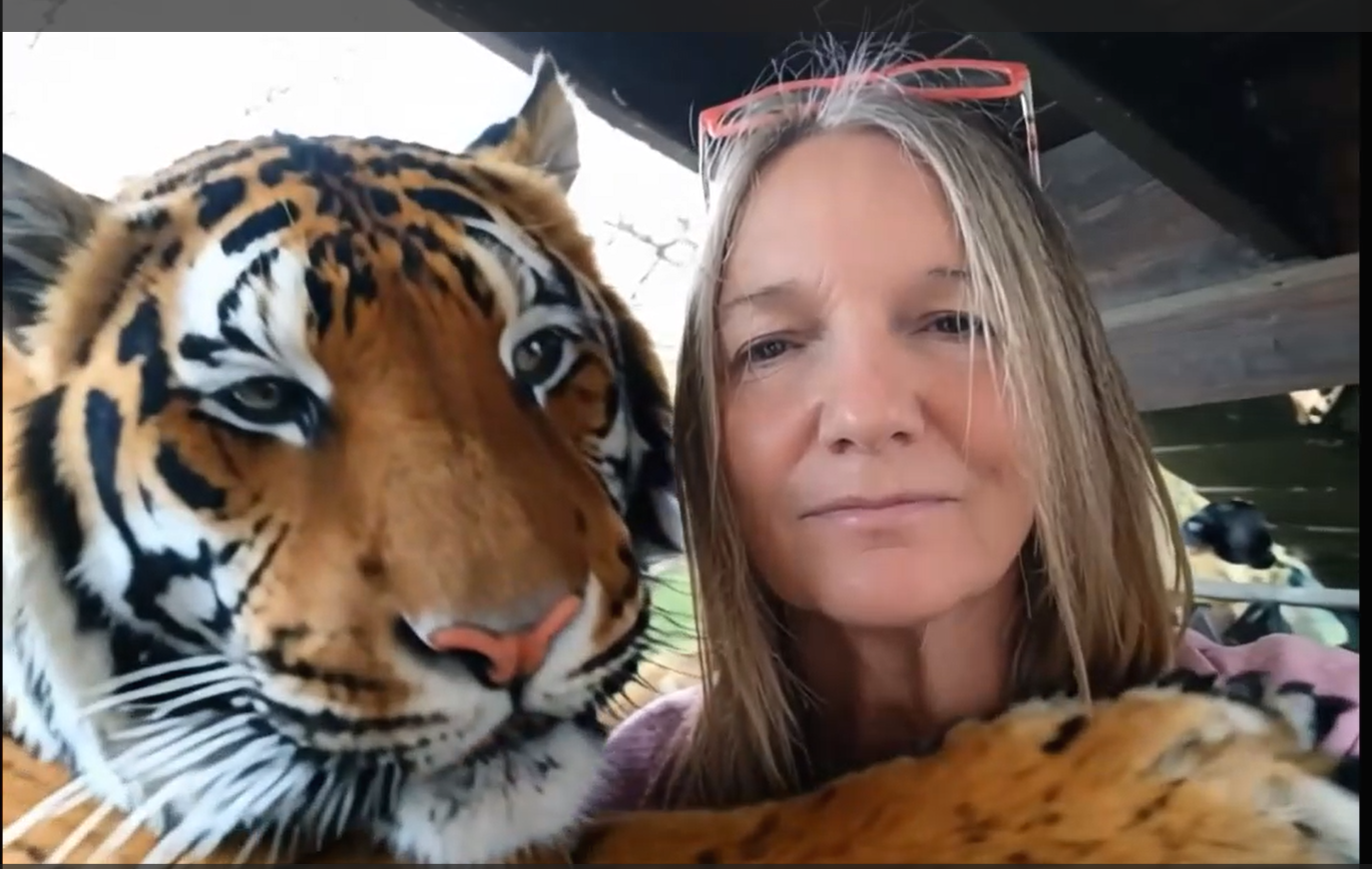 Tiger.png