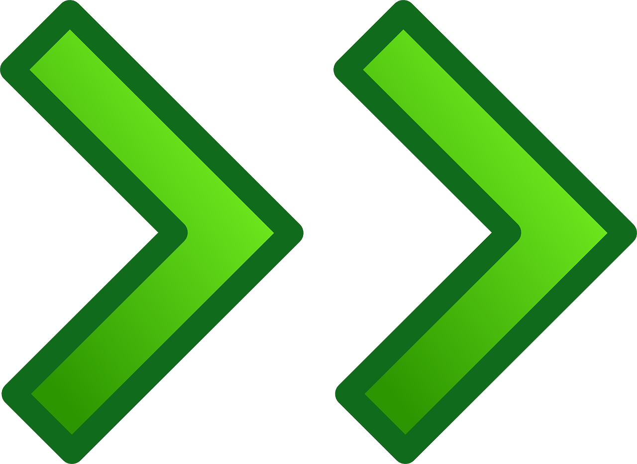 List Item Icon