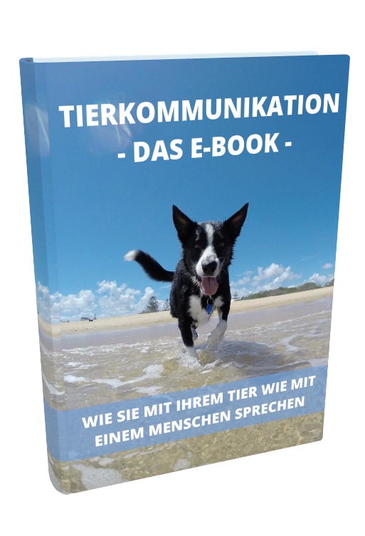 ebookfertig2.png
