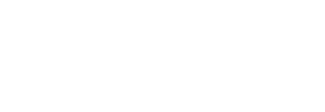 Verch Mentoring