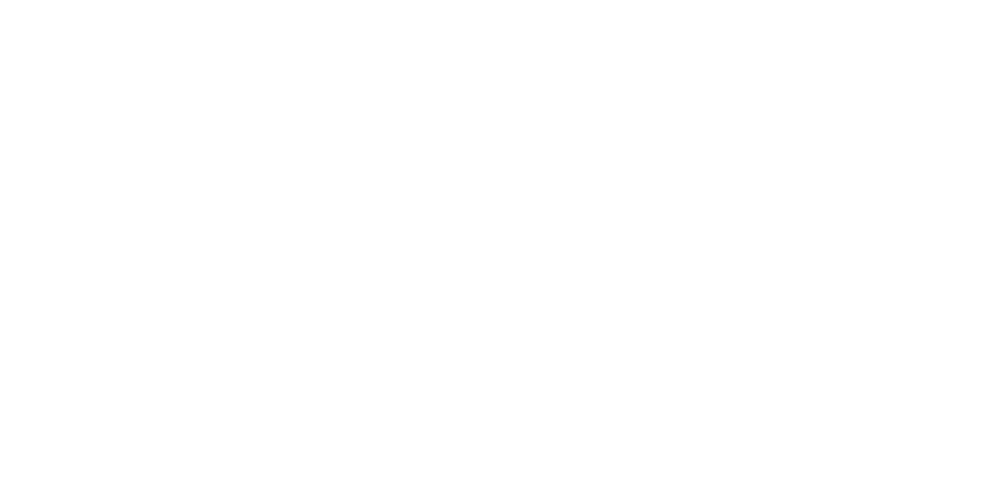 She Power Logo Weiß.png