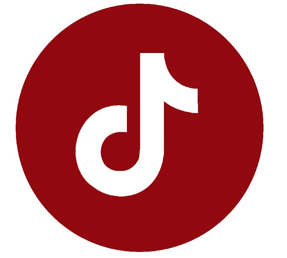 tiktok webseite sgw.png