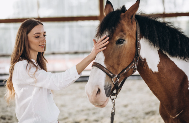 Pferde als Therapeuten: Wie Hippotherapie helfen kann, Beweglichkeit und Feinmotorik zu fördern und Schmerzen zu lindern