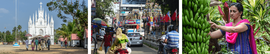 Südindien entdecken