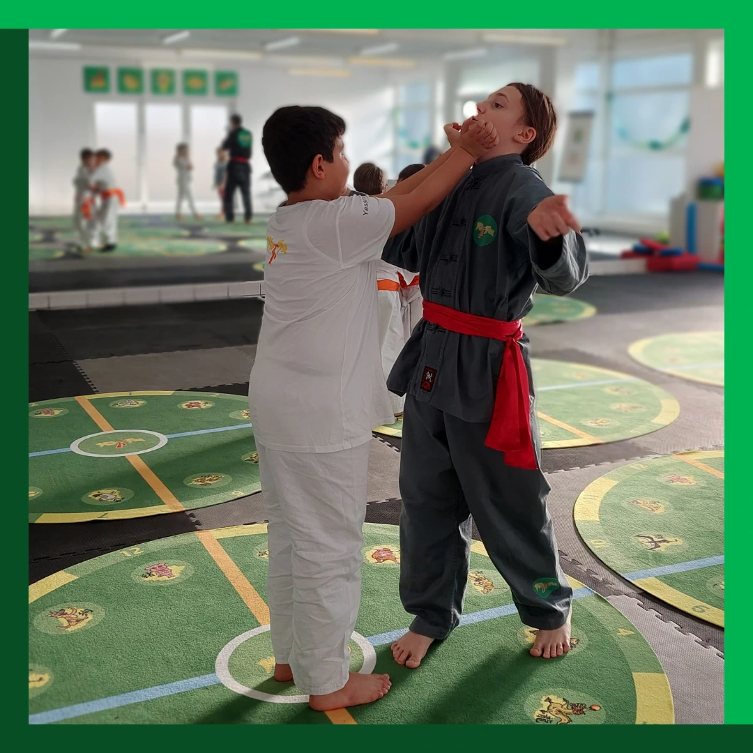 Ki-Fu Training 9-12 Jahre