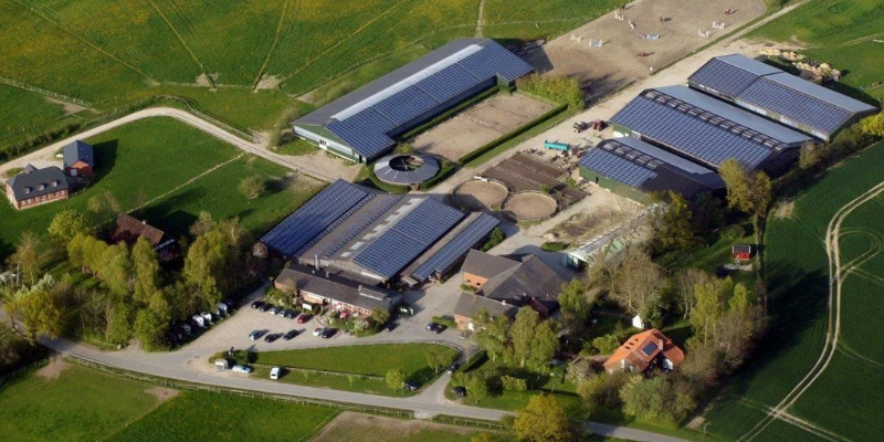 Die Reitschule Birkenhof in Langwied – Ein Juwel im Westen von München und was sie uns über Immobilienbewertung lehren kann