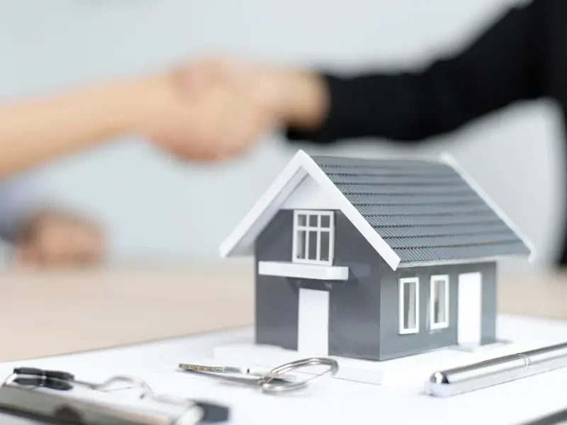 immobilienberater dresden