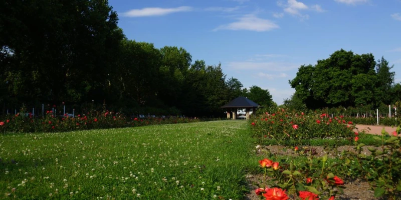 Immobilienbewertung in Antonstadt-Süd – Der Rosengarten als grünes Juwel mitten in der Dresdner Neustadt