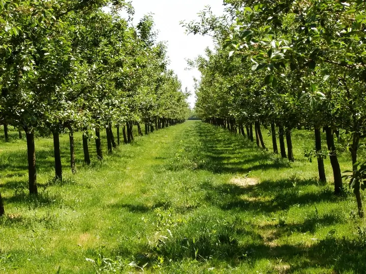 grundstücksgutachten stuttgart