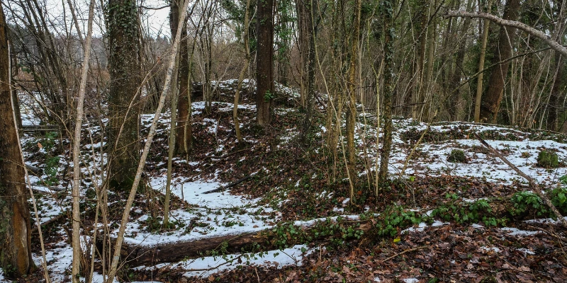 Ruine der Burg Rohreck und Immobilienbewertung: Historische Einflüsse auf den Immobilienmarkt in Stuttgart