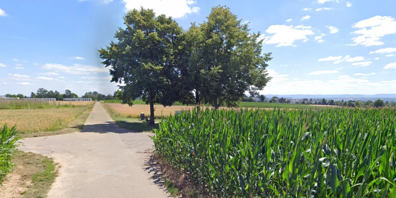 Aussichtspunkt Birkacher Feld und Immobilienbewertung: Ein strategischer Standortfaktor für den Immobilienmarkt in Stuttgart