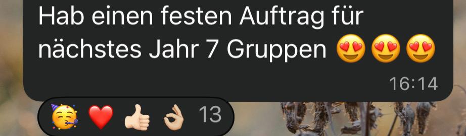 WhatsApp Image 2025-10-24 at 17.32.33.jpeg