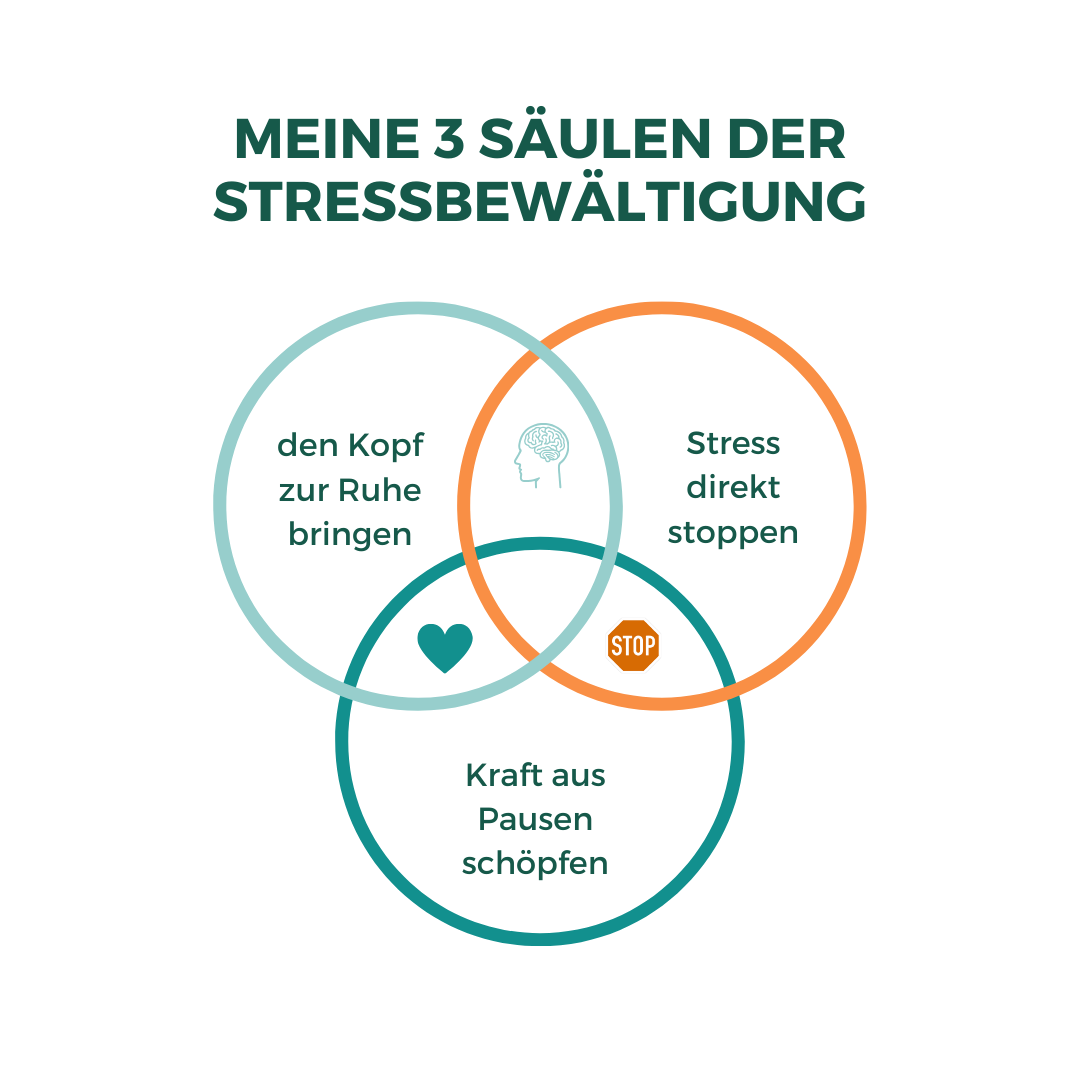 Die 3 Säulen meiner methode.png