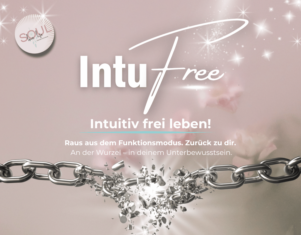 IntuFree-Raus aus dem Funktionsmodus.png