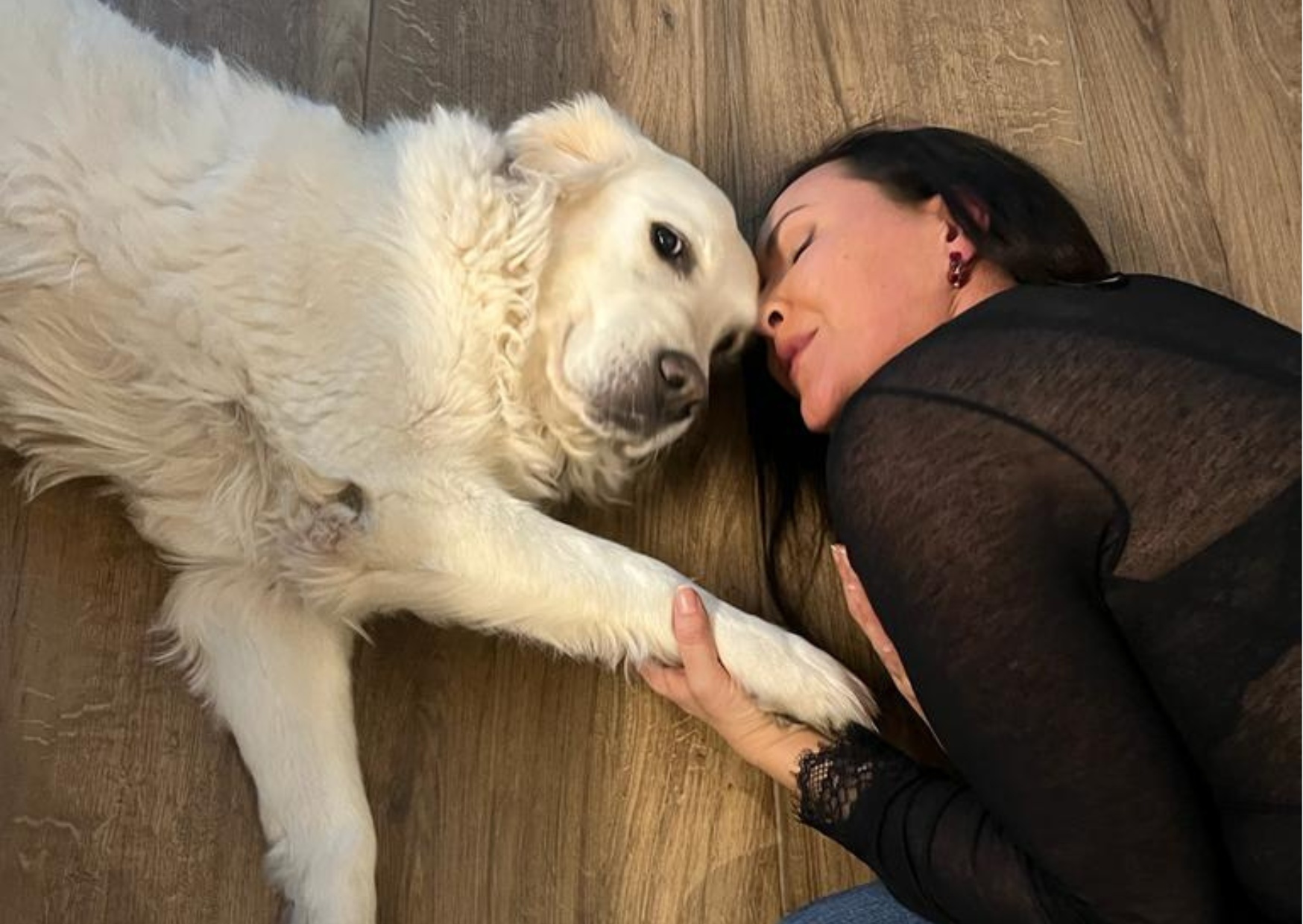 danielahirschauer liebt tiere