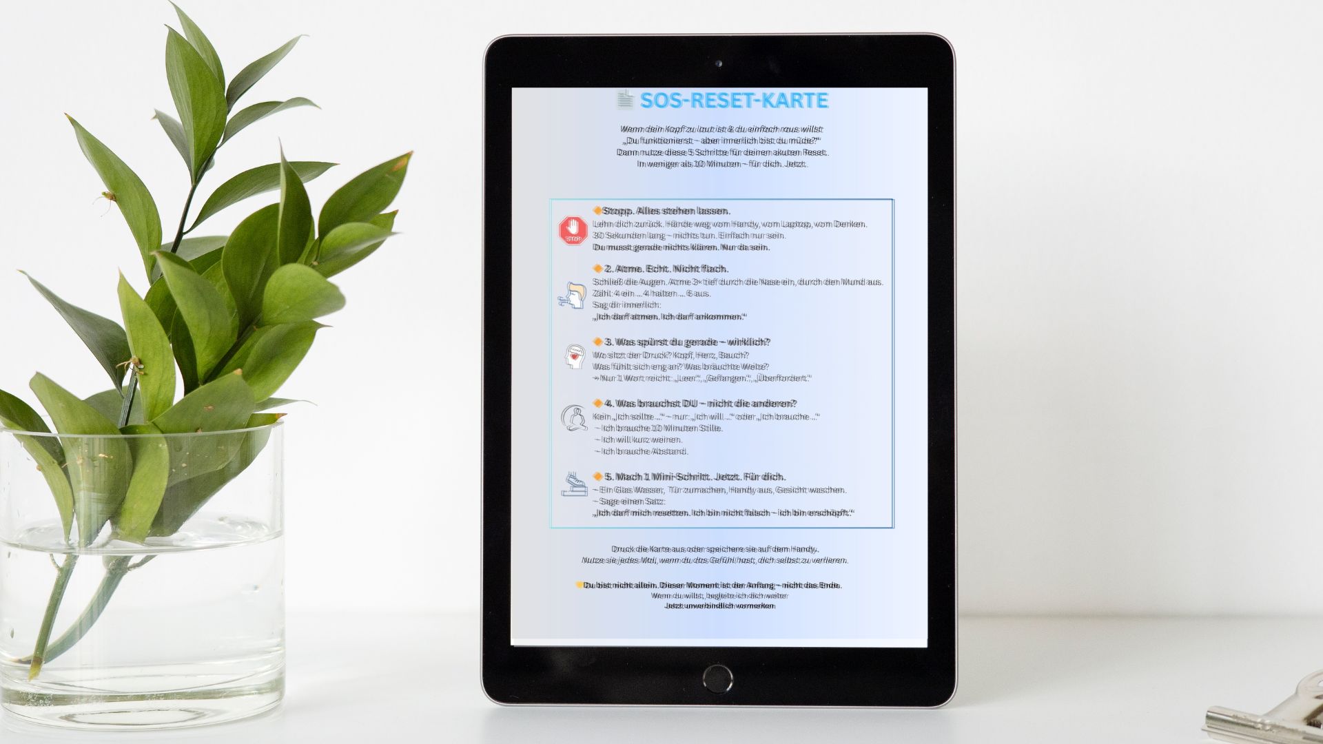 RESET SOS PDF Download(3).jpg