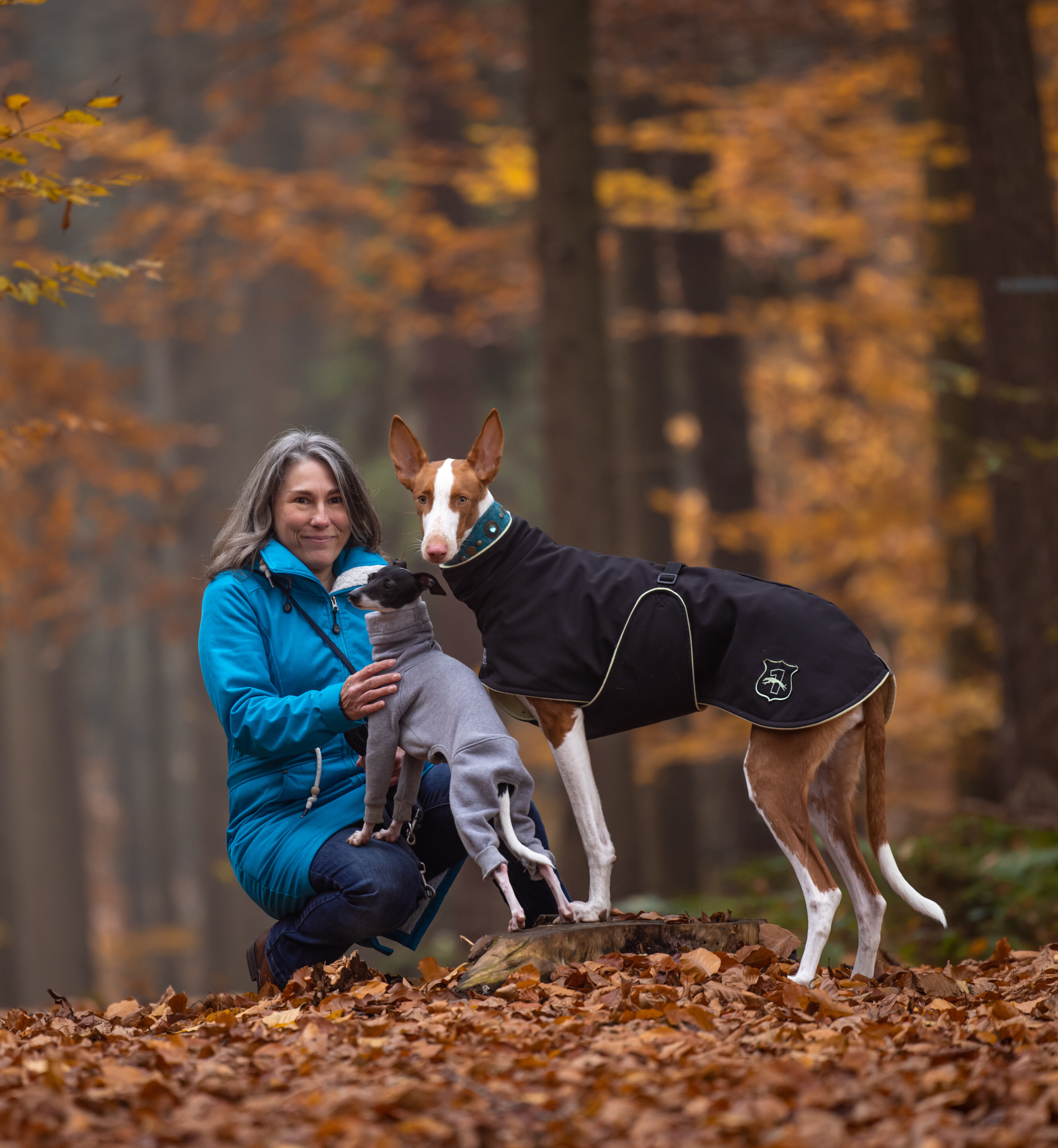 wir drei Herbst 21.png