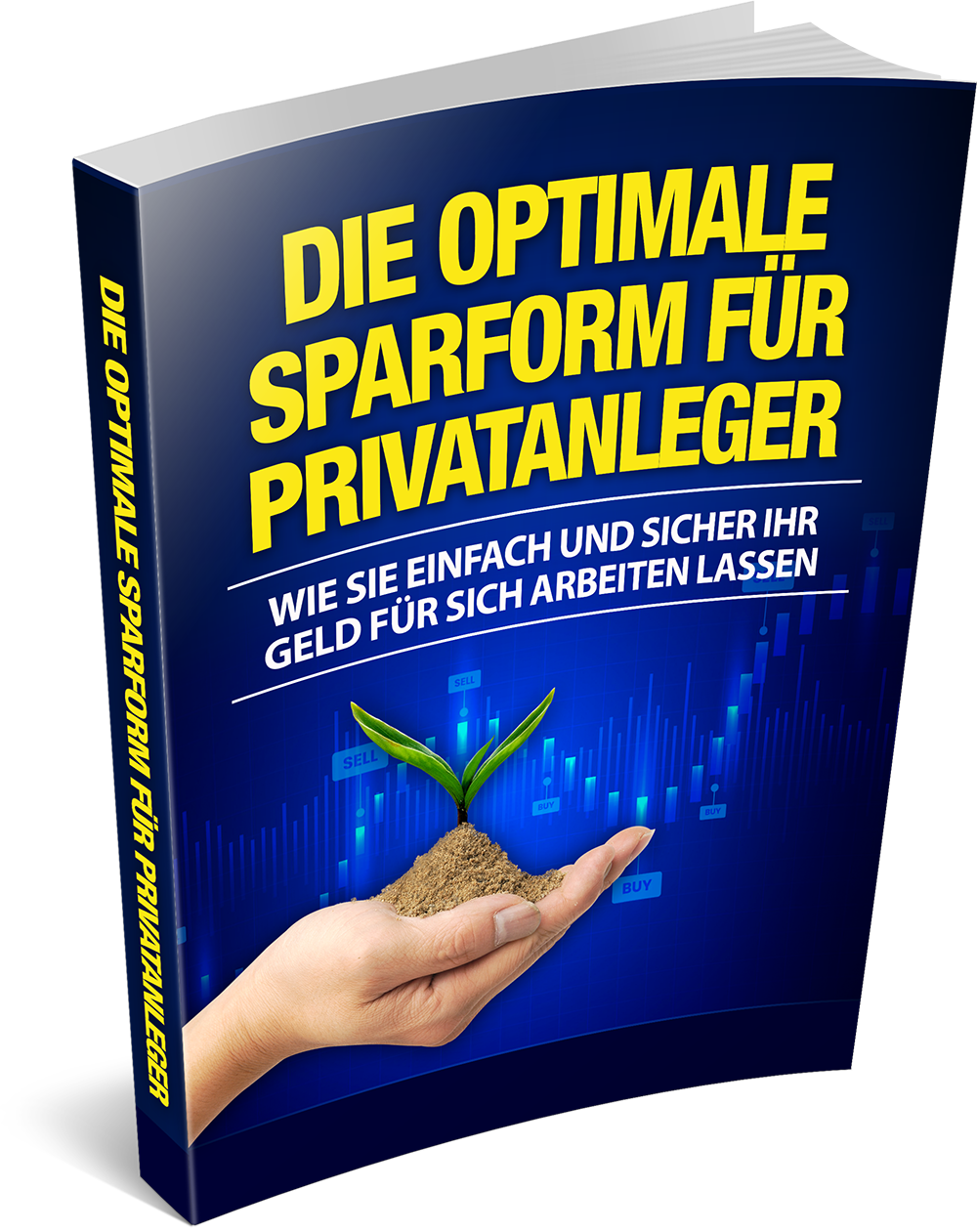 Bild Die optimale Sparform für Privatanleger.png