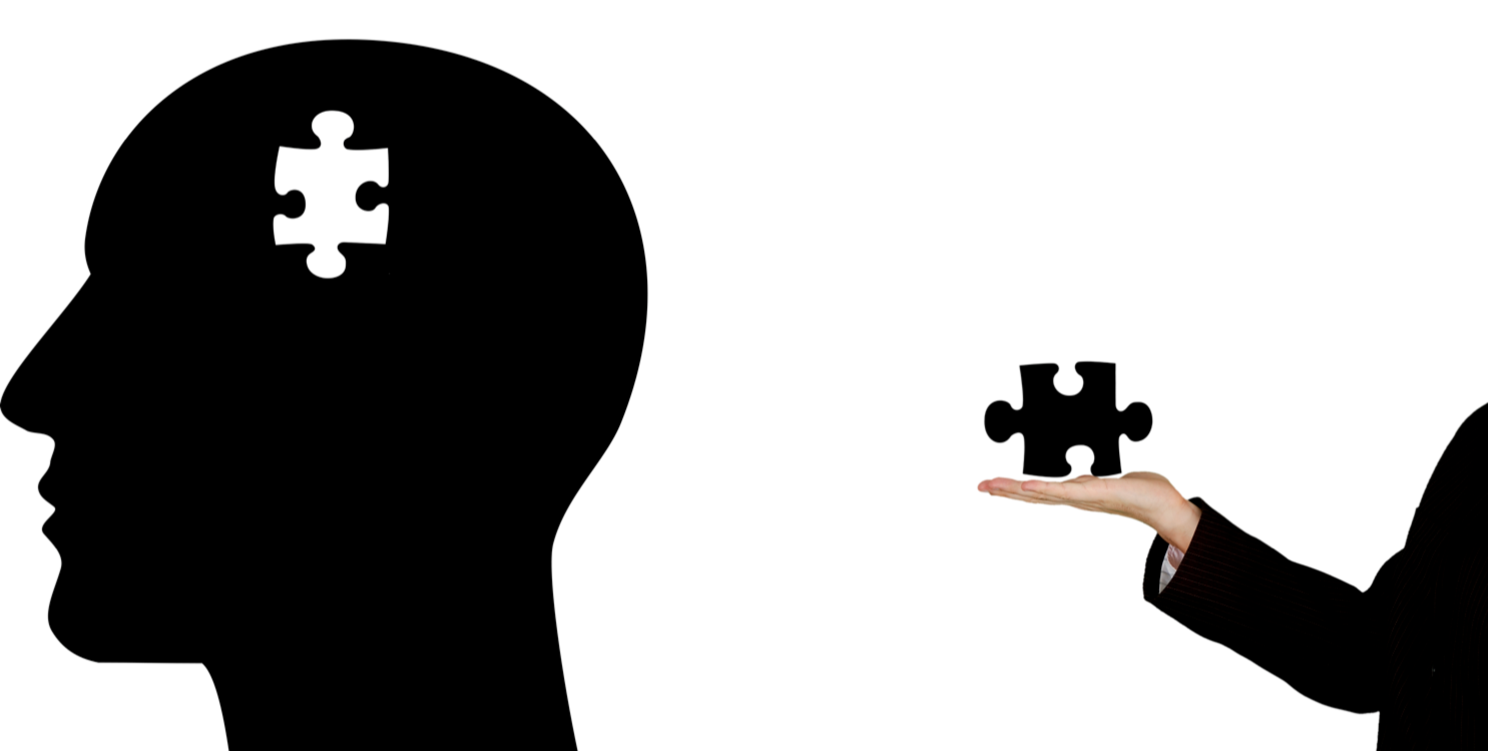 Hirn Puzzleteil.png