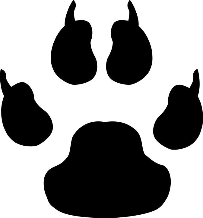 Welpen-Stubenrein-Anleitung