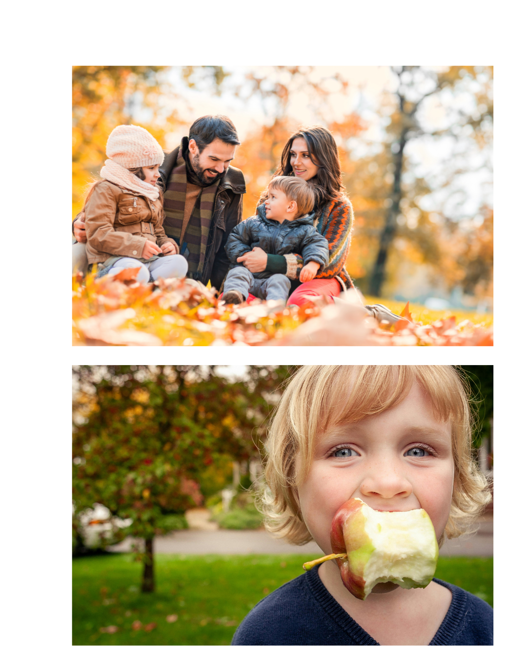 apfel.png