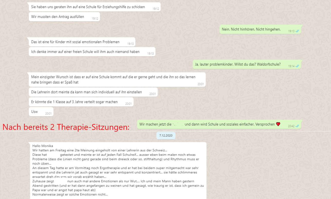 von Sonderschulempfehlung in 2 Wochen normal Schulreif.png