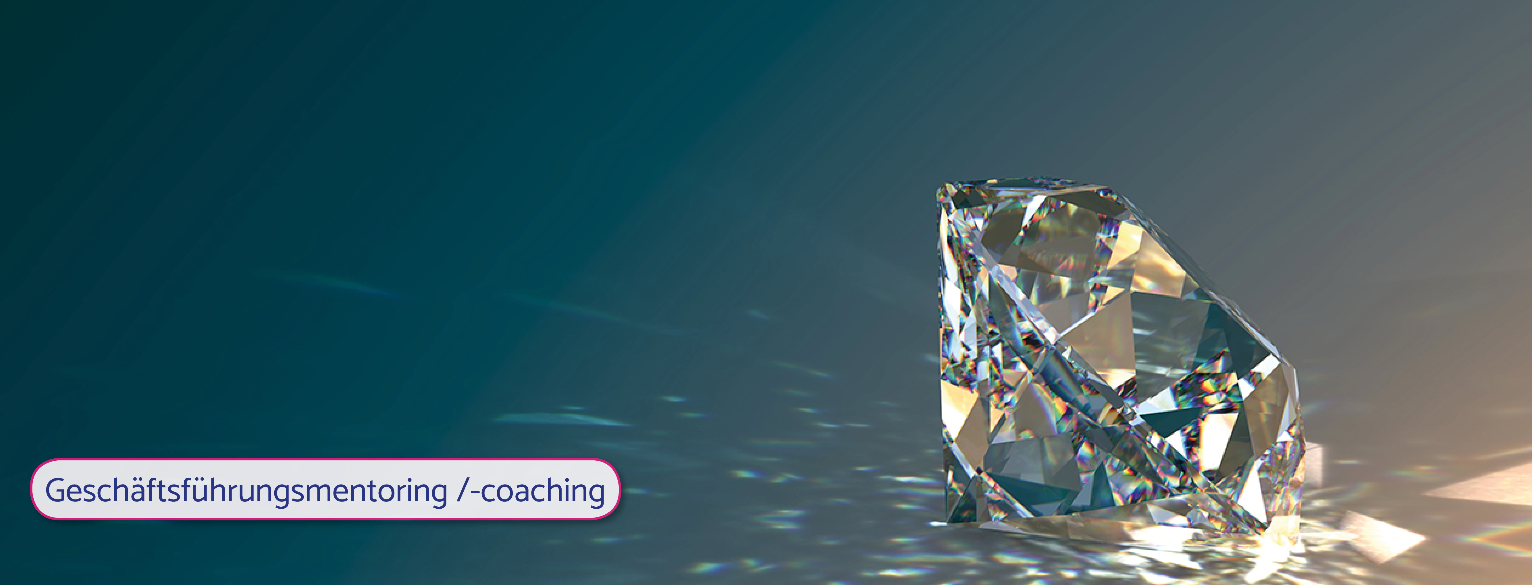 H-Mentoring-Coaching-Geschäftsführung.jpg