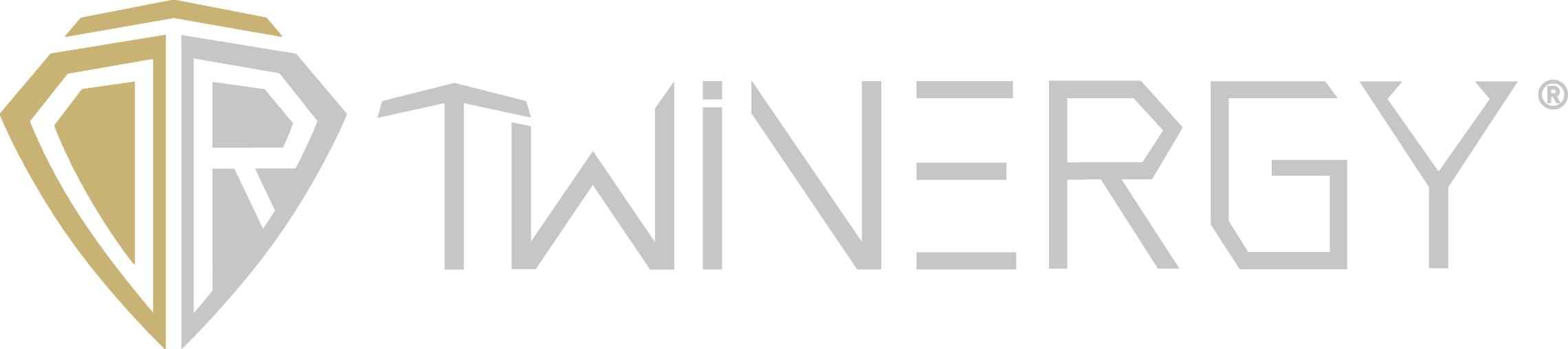 Twinergy_Kombi_horizontal_Gold.png