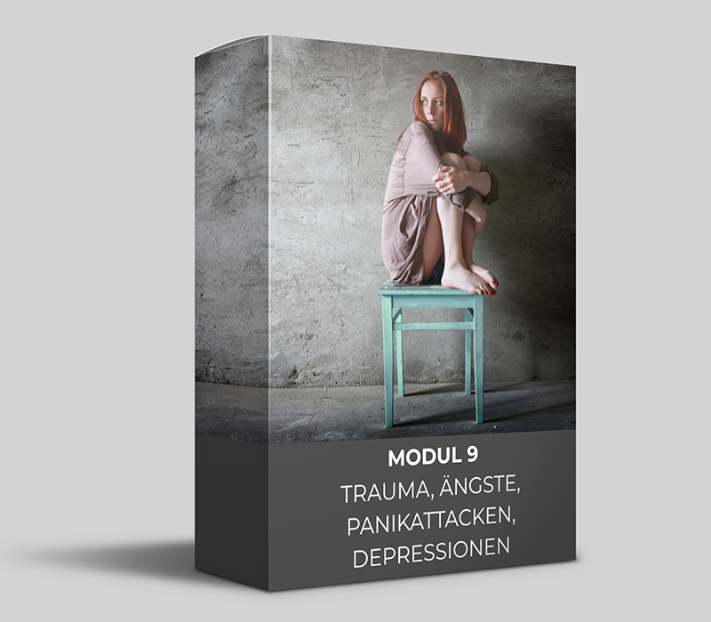 Modul9 BOX COaching.png
