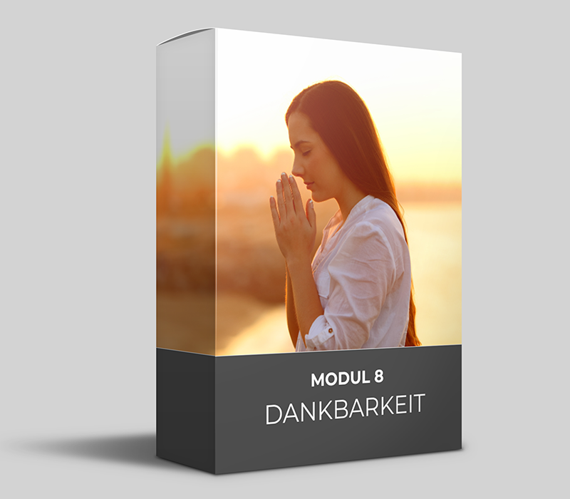 Modul8 BOX COaching.png