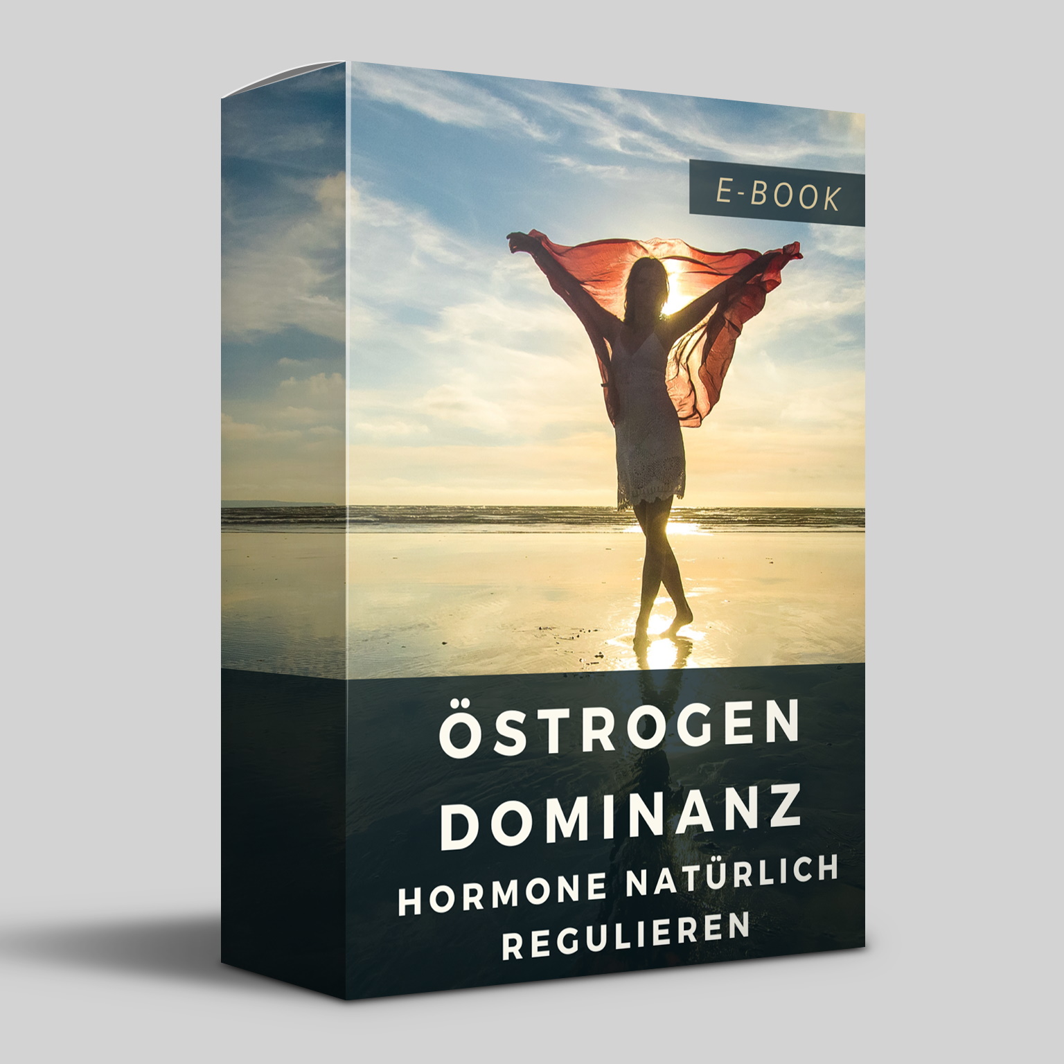 Östrogendominanz-Box-klein.jpg
