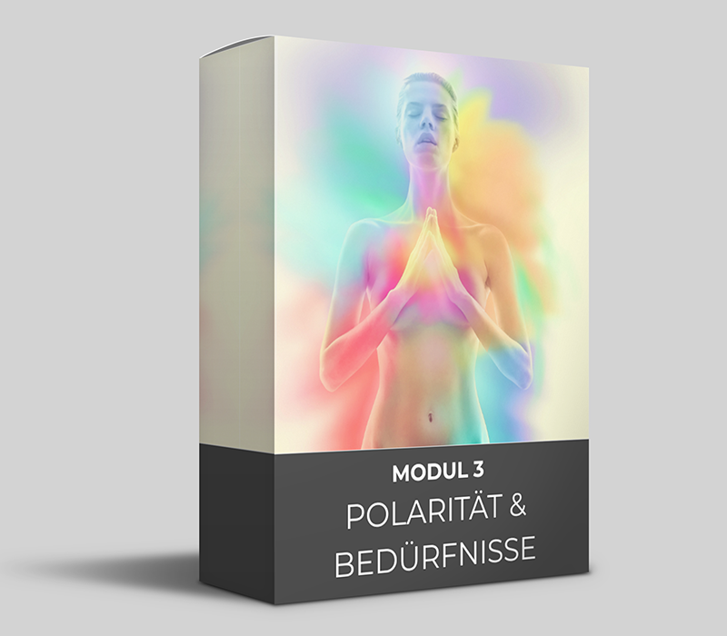 Modul3 BOX COaching.png