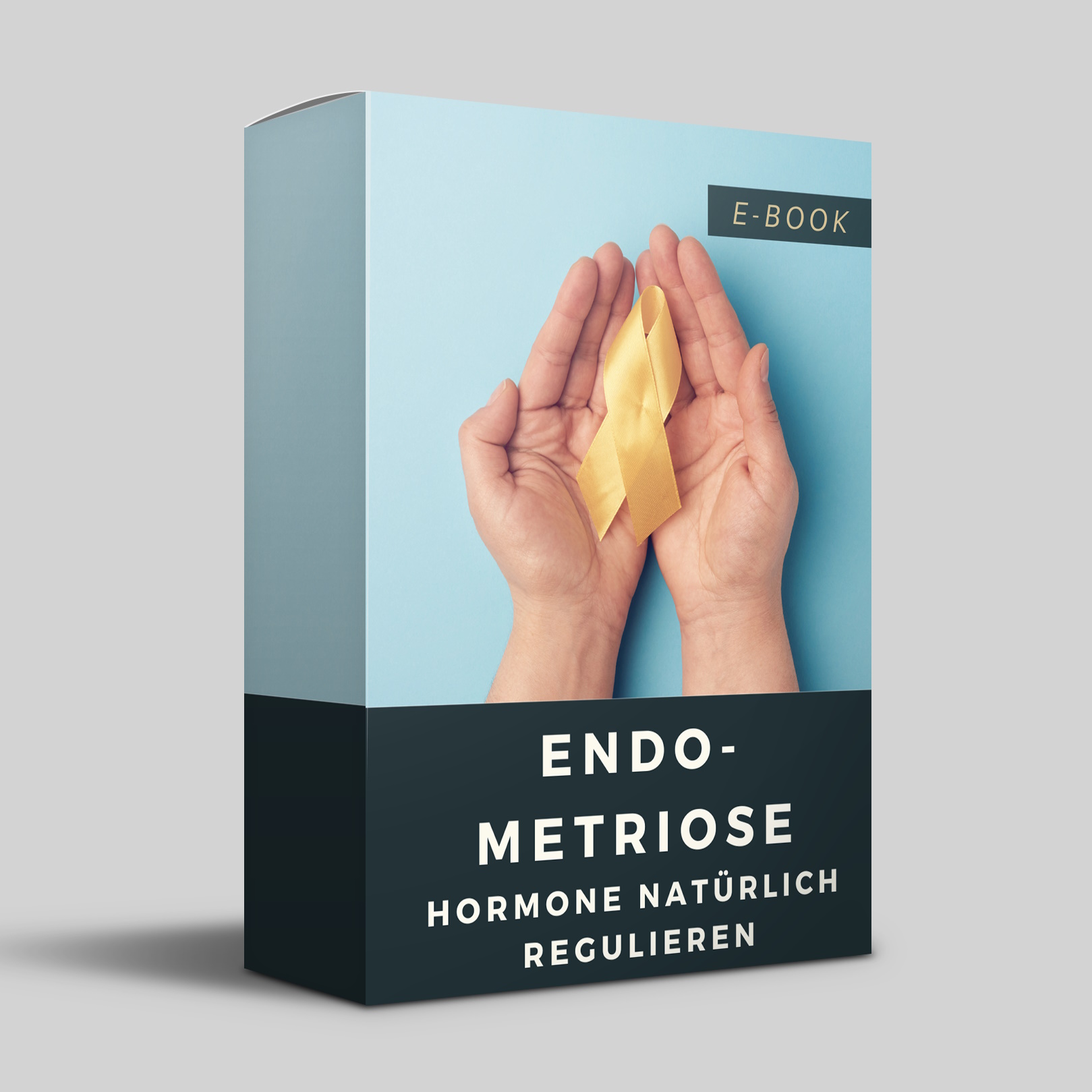Endometriose-box-klein.jpg