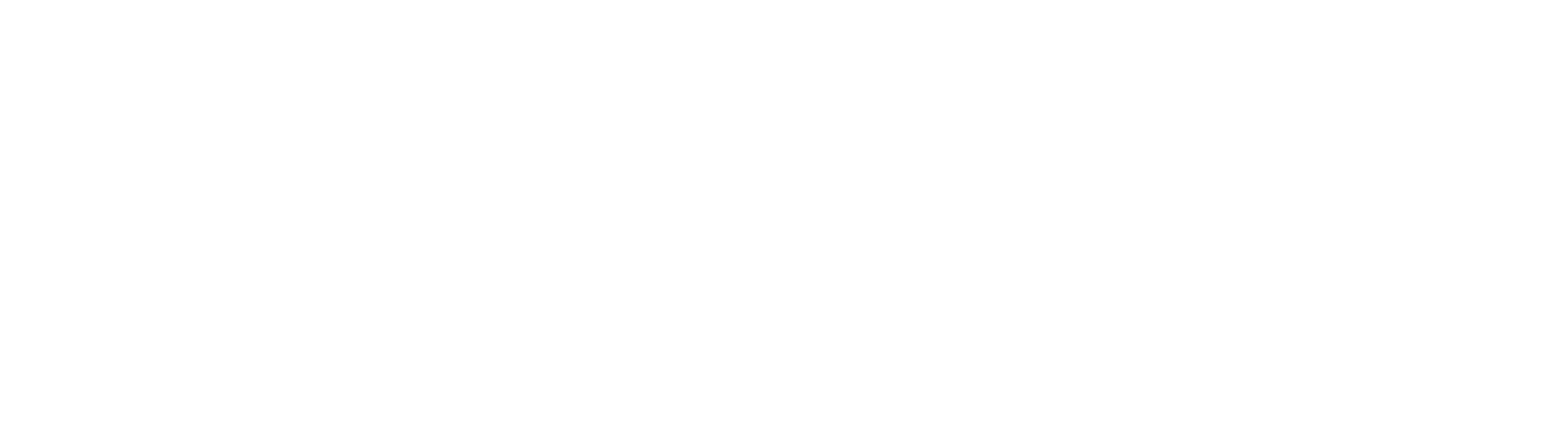 Logo Ratgeber Stiftung Weiß mit Transparenz.png