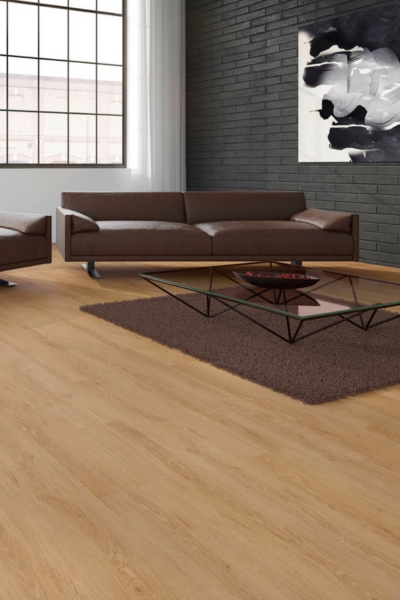 hofer-design-3.jpg