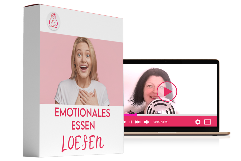 5 Modul - Produktbild.png