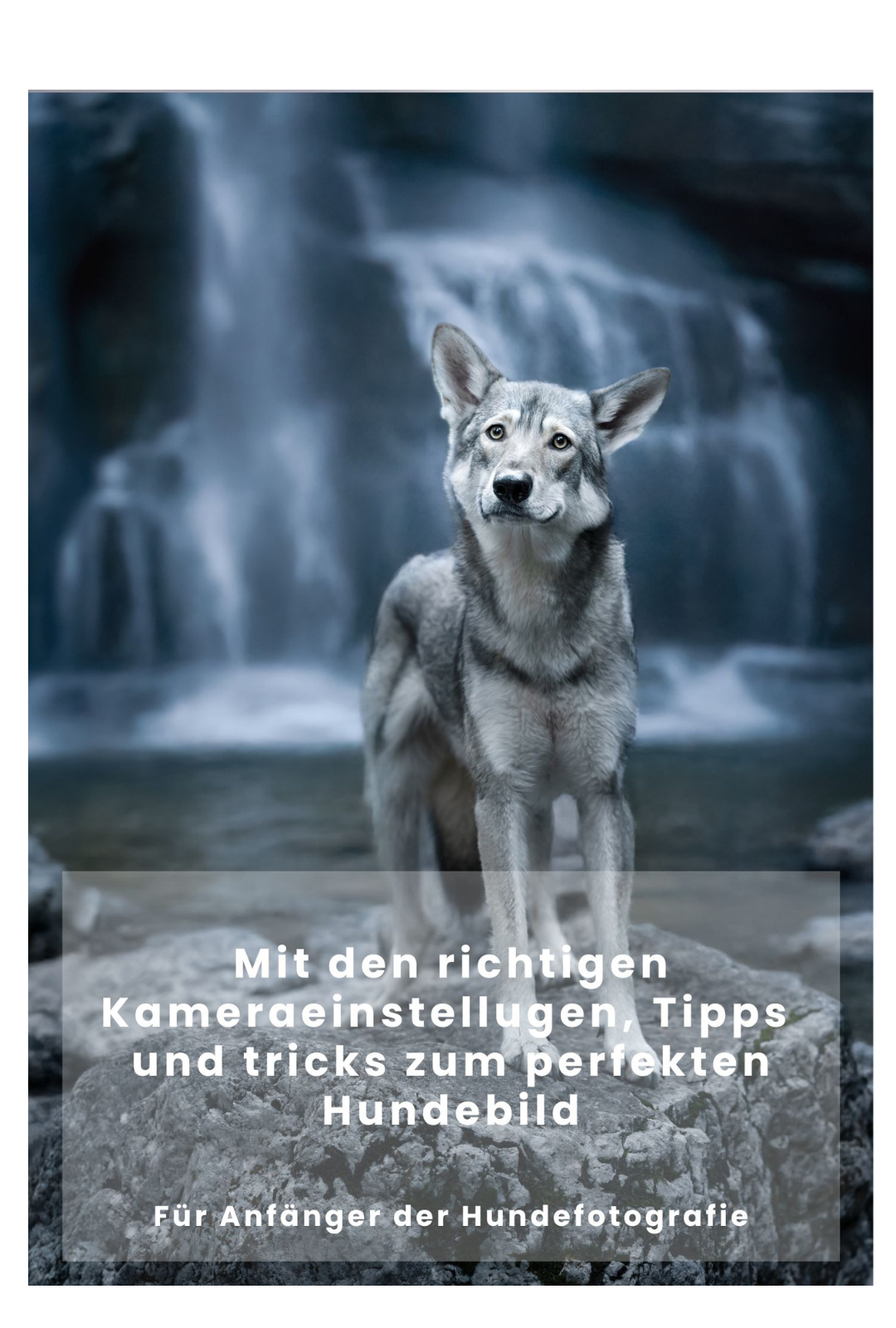 Design ohne Titel-2.png