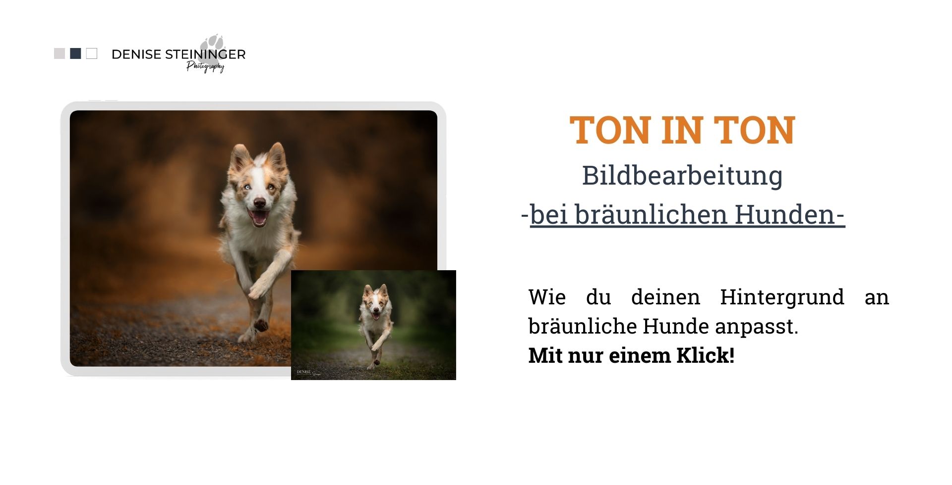 Cover Slide-4.jpg