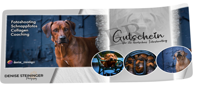 Gutschein-768x346.png
