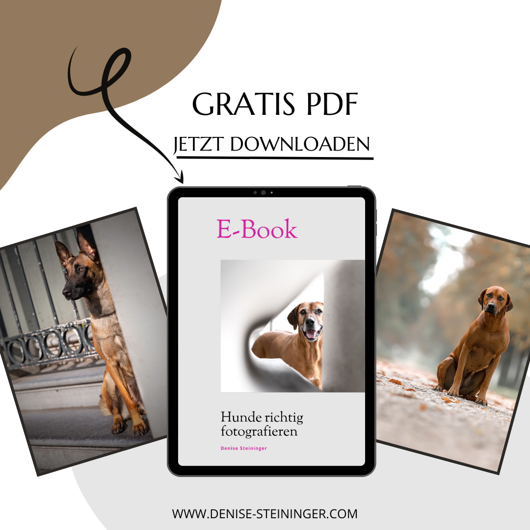 werbung ebook.png